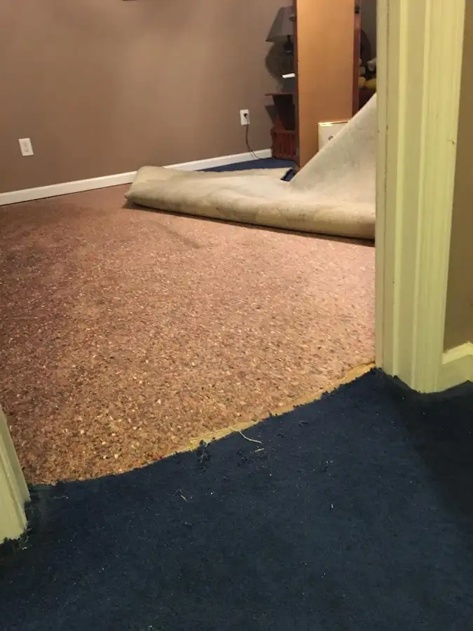 Carpet pad removal revealing water damage during Water Mitigation Services in Killingworth